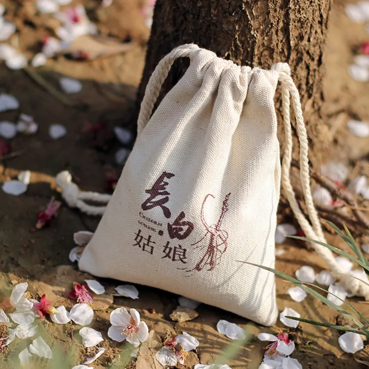 Cotton Drawstring Bag; 285TV/HH