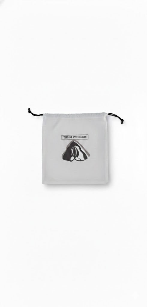 The shoe Bag , gift Bag , promotione Bag